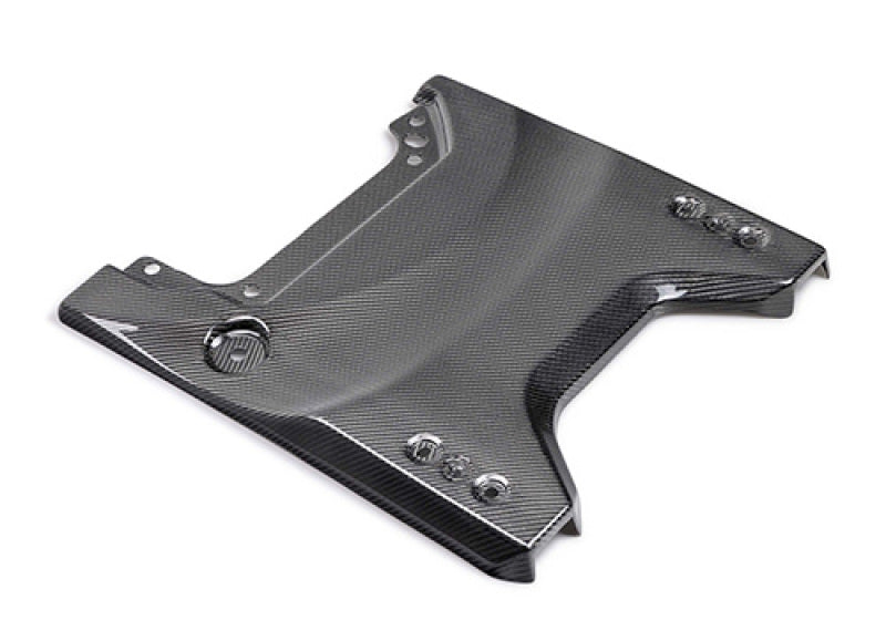 Ford Racing for 2022-2024 Bronco Raptor Carbon Fiber Tailgate Applique - Gloss