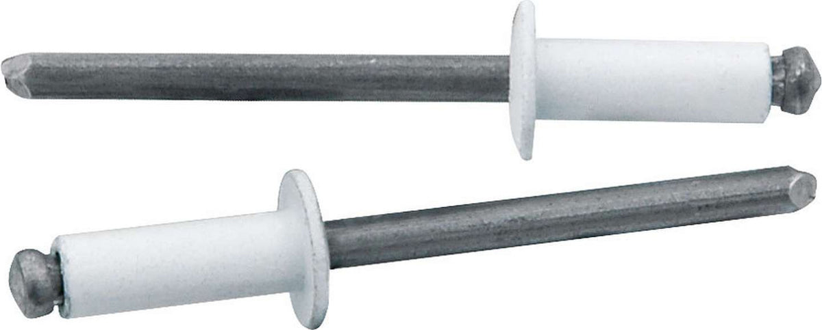 Allstar Performance Small Head Rivet White 250pk ALL18114
