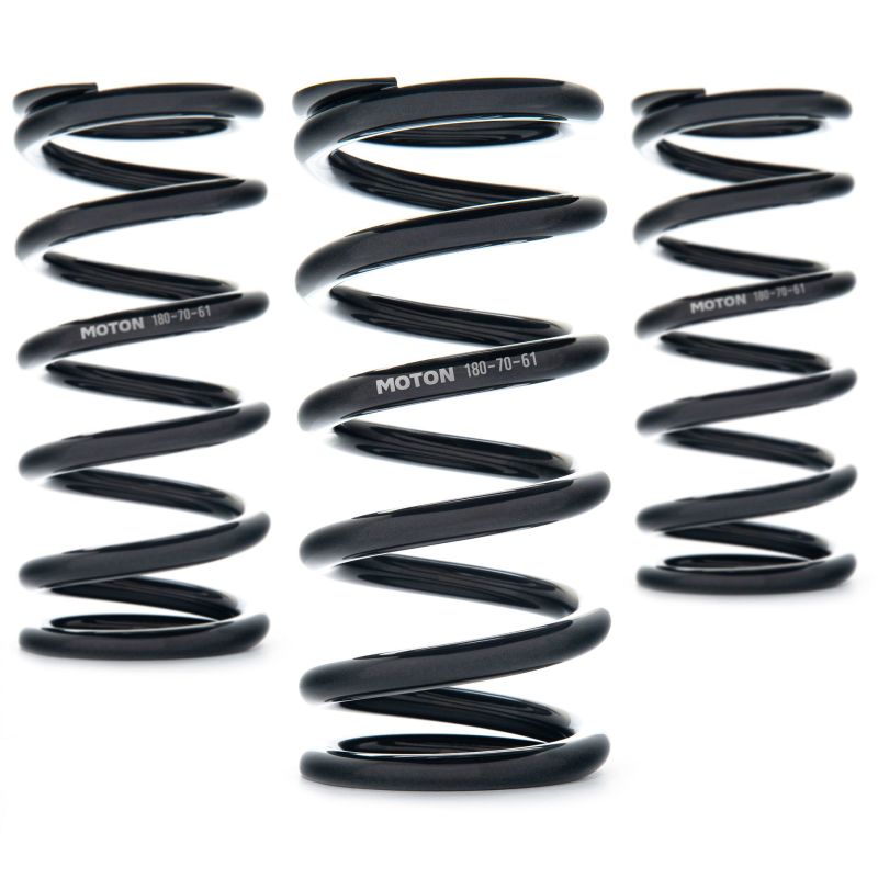 AST Suspension AST-80-20-61 Linear Race Springs - 80mm Length x 20 N/m
