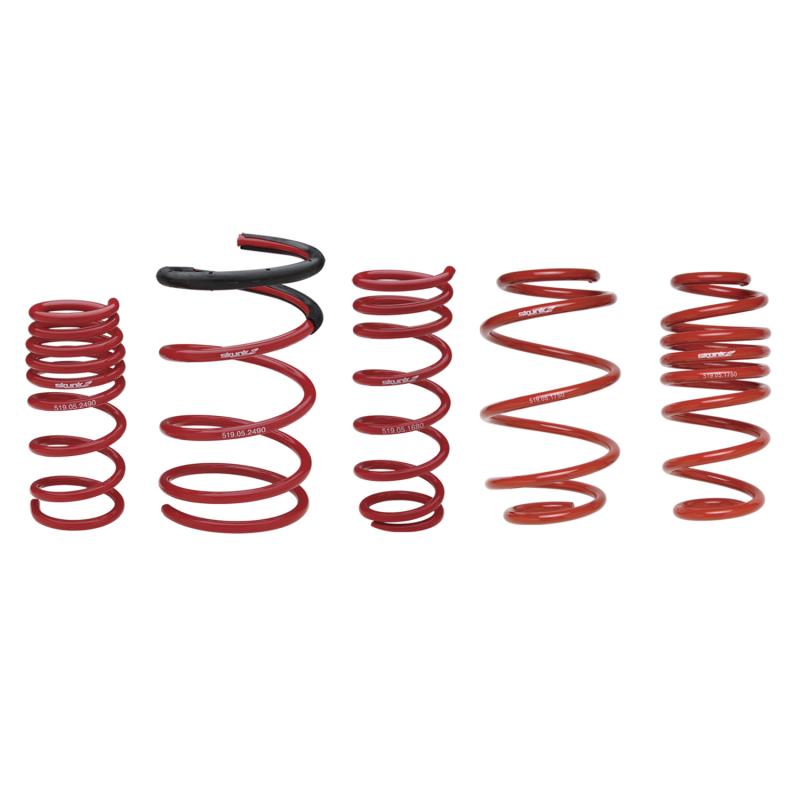 Skunk2 Universal Race Spring (Elliptical) - 6 in.L - 2.5 in.ID - 6kg/mm (0600.250.006E)