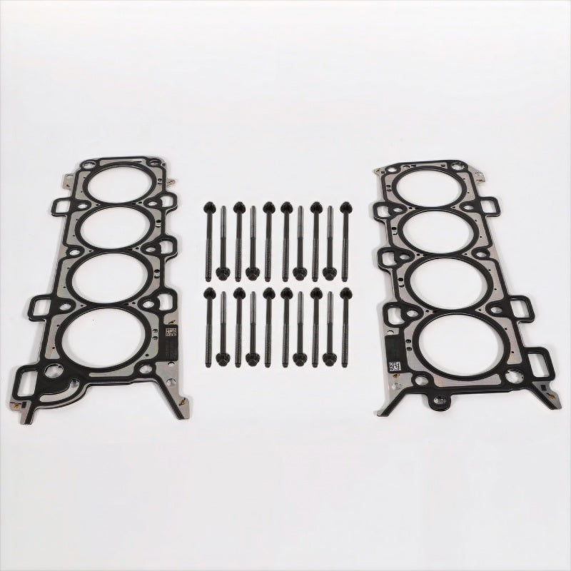 Ford Racing 2018-2021 5.0L for Coyote Head Changing Kit - 12mm Head Bolts