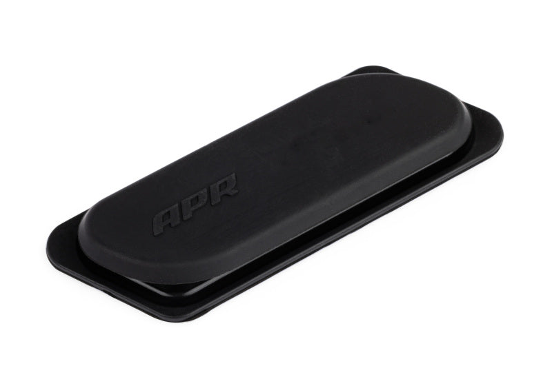 APR 22-24 Audi A3/A3 Quattro/S3/22-26 Volkswagen Golf R/GTI 2.0T Intake Port Covers - Carbon Fiber