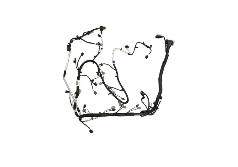 Ford Racing 5.0L for Coyote Engine Harness Automatic Transmission