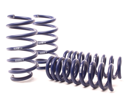 H&R Sport Springs - Dodge Challenger SE/SXT V6 (w/o Nivomat) - 50880