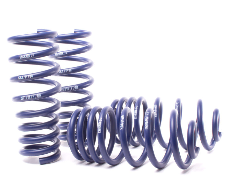 H&R Sport Springs - BMW E70 X5 / E71 X6 - 50435-3