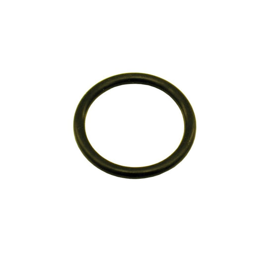Nitrous Express 1-1/8 O-Ring (Fits 5lb/10lb/12lb/15lb Bottle Valve) 11028