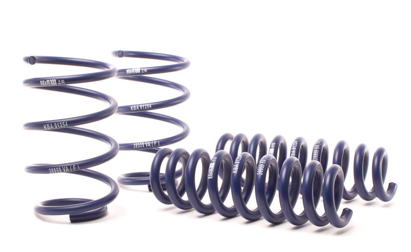 H&R Sport Springs - BMW X1 (E84) xDrive28i/35i - 28959-1