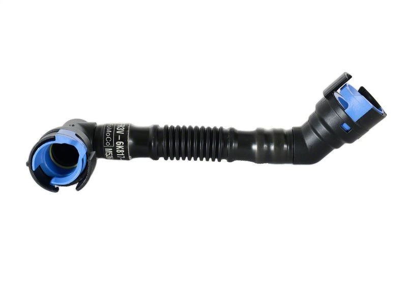 Ford Racing for 2011-2015 Coyote 5.0L V8 Oil-Air Separator