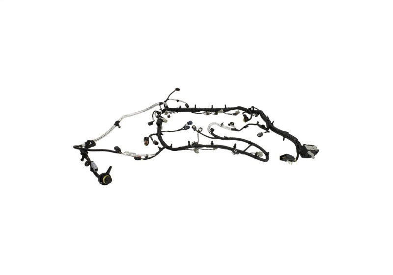 Ford Racing 5.0L for Coyote Engine Harness Automatic Transmission