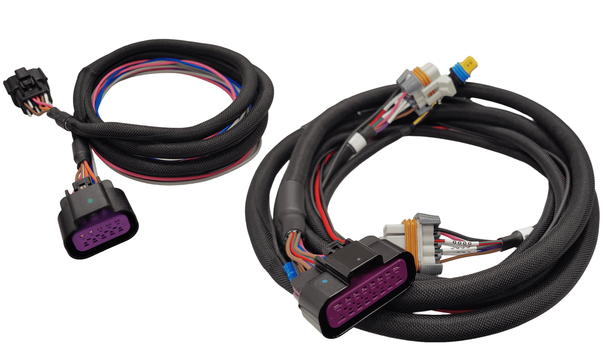MSD 88014 Replacement Harness - MSD 6014 LS Control