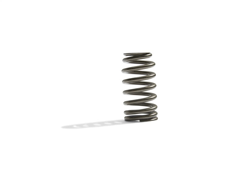 Ford Racing BOSS 302R Valve Spring Kit
