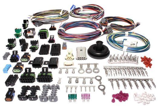 FAST 301105 XFI Wiring Harness