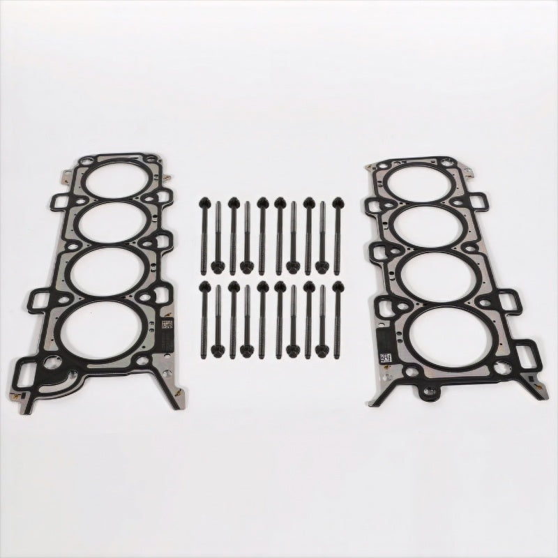 Ford Racing 2018-2021 5.0L for Coyote Head Changing Kit - 12mm Head Bolts
