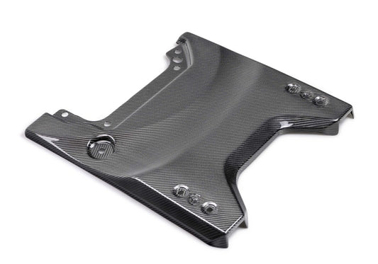 Ford Racing for 2022-2024 Bronco Raptor Carbon Fiber Tailgate Applique - Gloss