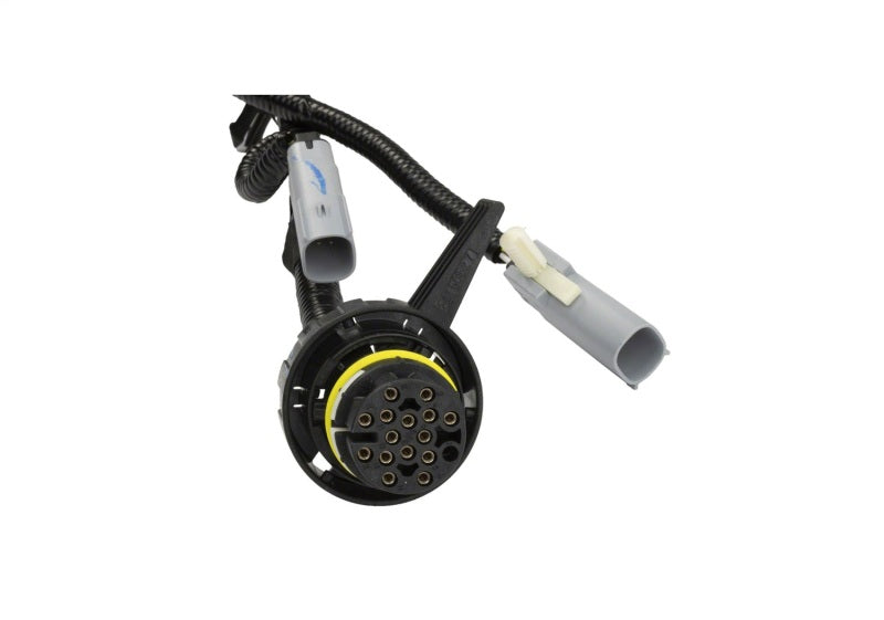Ford Racing 5.0L for Coyote Engine Harness Automatic Transmission
