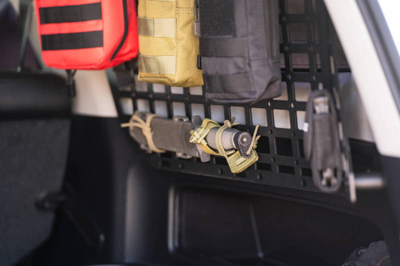 DV8 10-23 Toyota 4Runner Rear Window Molle Panels - #MPT3-01