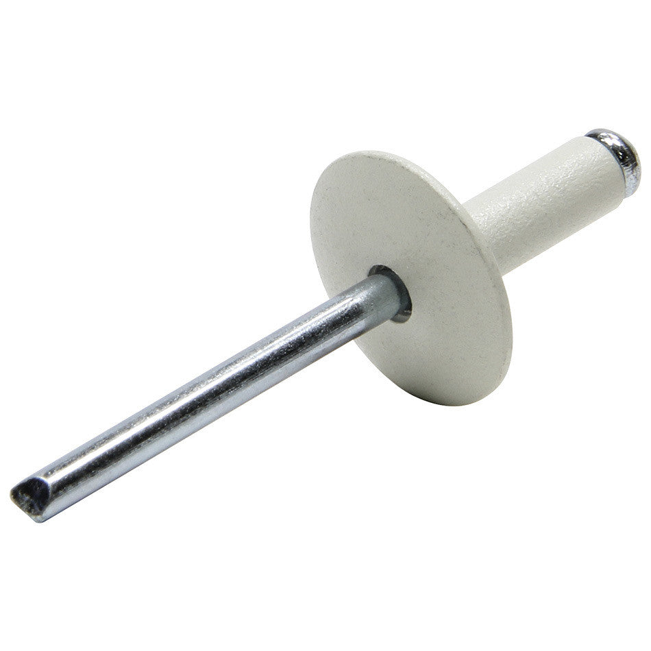 Allstar Performance Large Head Rivet White 250pk ALL18011