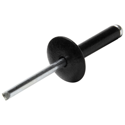 Allstar Performance Large Head Rivet Black 200pk ALL18033