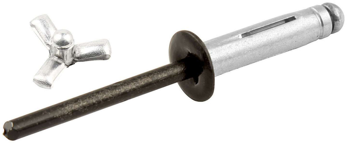 Allstar Performance Small Head Rivet 250pk Black Flange Type ALL18082