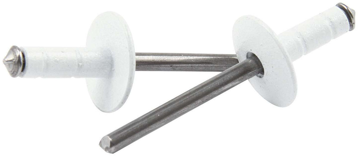 Allstar Performance Large Head Rivet White 250pk Multi Grip ALL18096