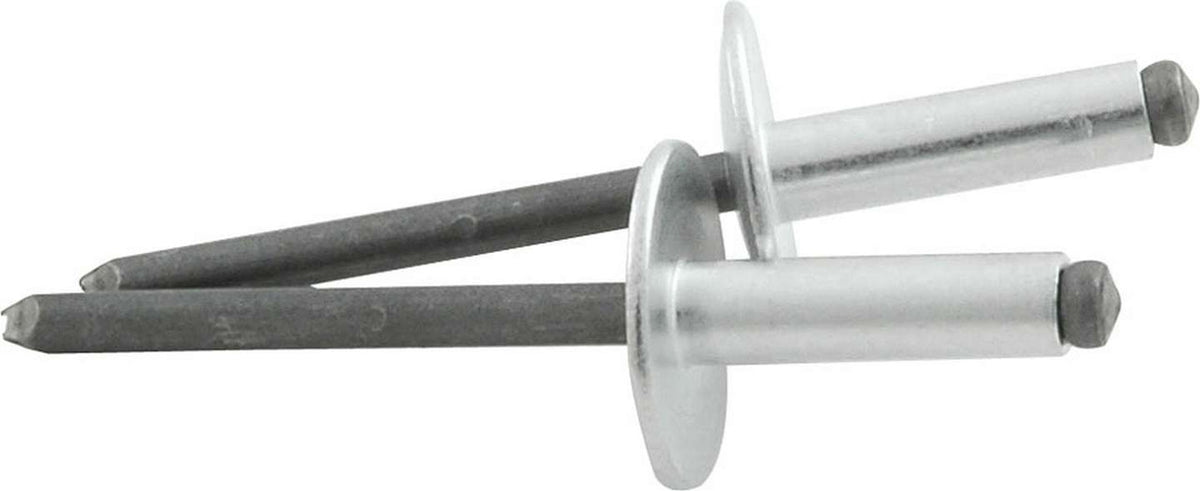 Allstar Performance Large Head Rivet Silver 250pk ALL18147