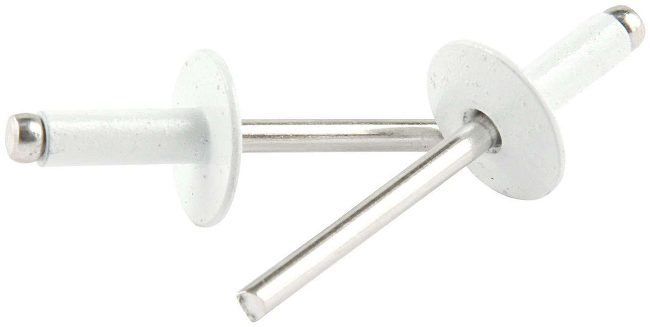 Allstar Performance Large Head Rivet White Aluminum 250pk ALL18158