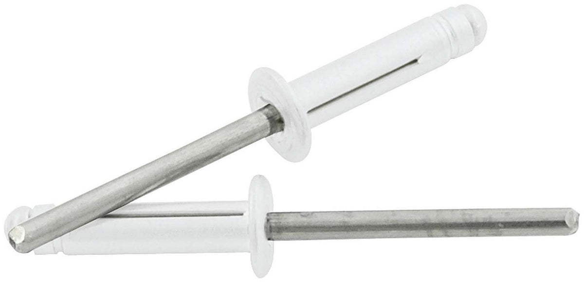 Allstar Performance Medium Head Rivet 250Pk Silver Flange Type St Mandrel ALL18185