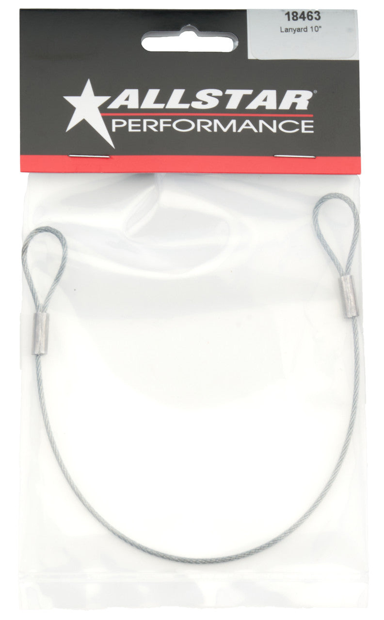 Allstar Performance Lanyard 10in ALL18463