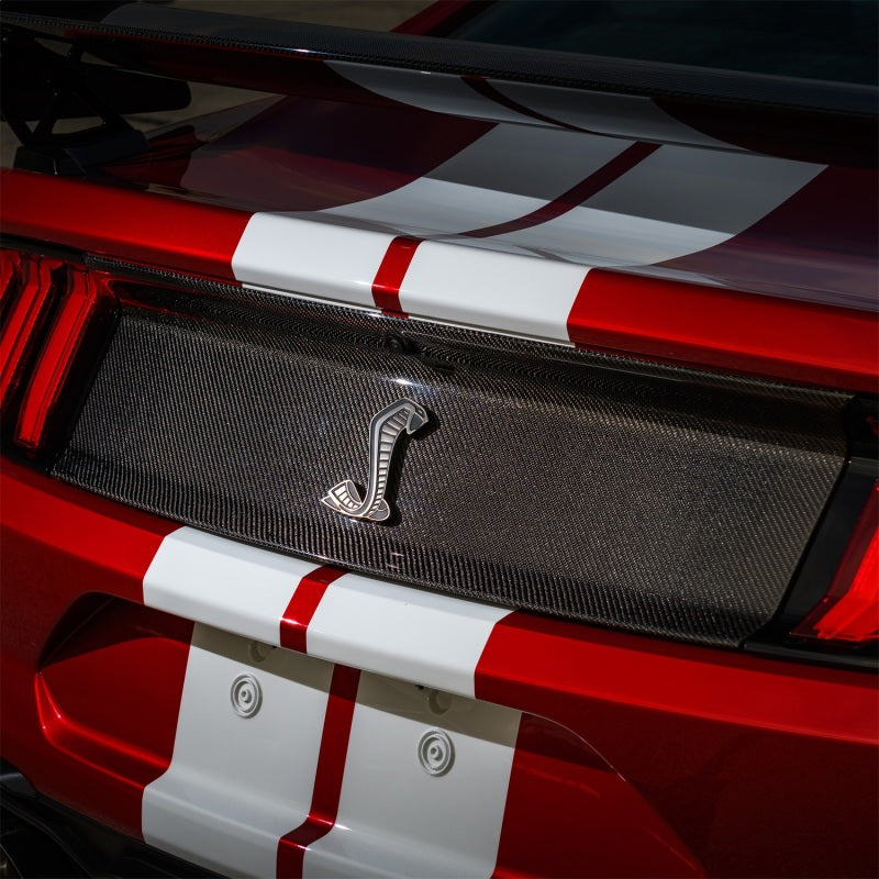 Ford Racing for 2020-2022 Mustang GT500 Deck Lid Trim Panel