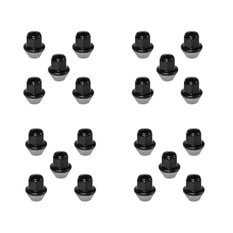 Ford Racing for 2015-2018 Mustang Black Lug Nut Kit (20 Lug Nuts)