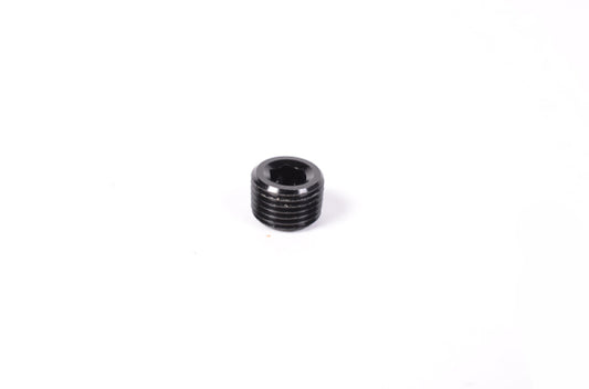 Radium Engineering 1/8in NPT Plug - #14-0172