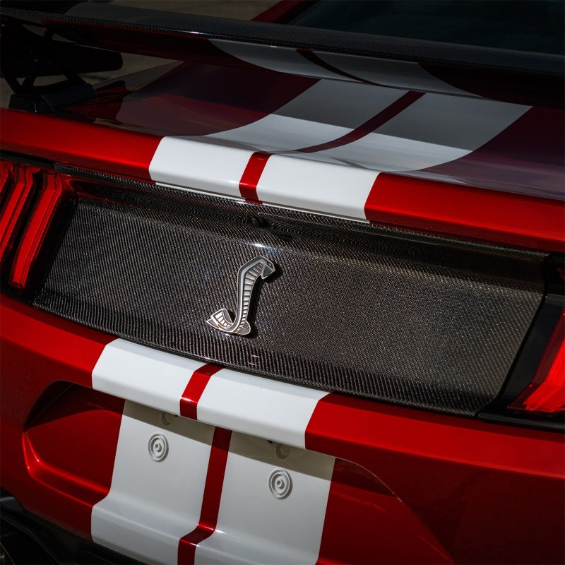 Ford Racing for 2020-2022 Mustang GT500 Deck Lid Trim Panel