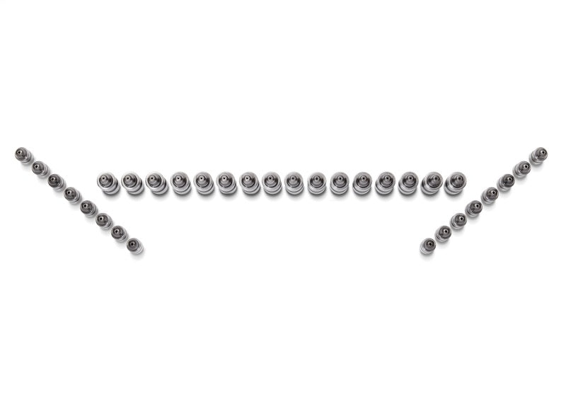 Ford Racing for Ford GT and Mustang SVT 5.4L Lash Adjusters