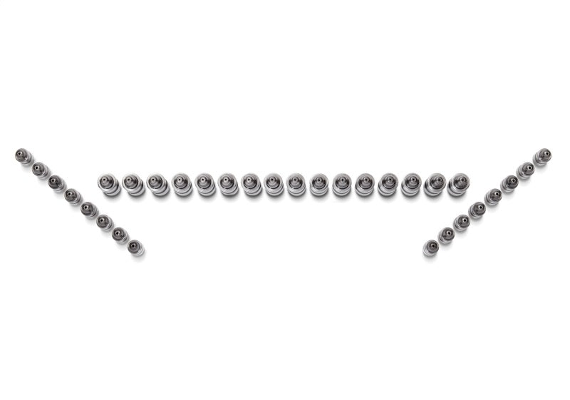 Ford Racing for Ford GT and Mustang SVT 5.4L Lash Adjusters