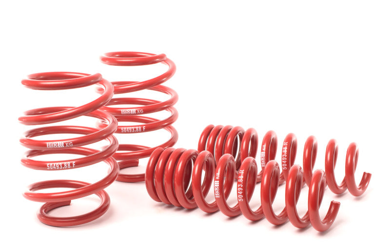 H&R Race Springs - BMW E90/E92 M3 (S65 4.0L) - 50493-88