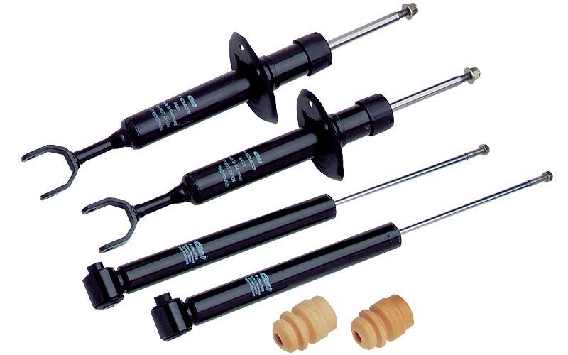 Eibach Pro-Damper Kit for 05-10 Ford Mustang Convertible/Coupe / 07-10 Shelby 35101.840