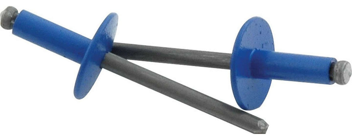 Allstar Performance Large Head Rivet 250Pk Chevron Blue ALL18176